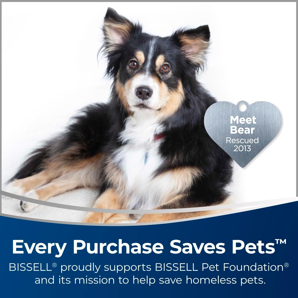 BISSELL CrossWave Cordless Max Multi-Surface Wet Dry Vac, 2554D
