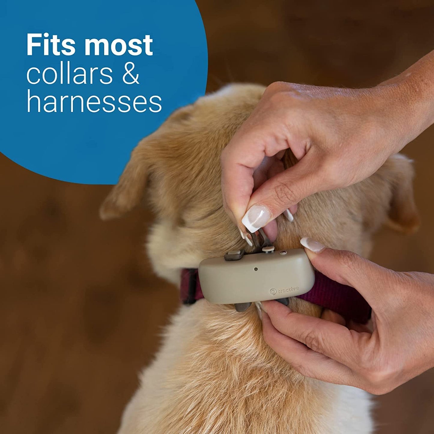 Tractive GPS Pet Tracker for Dogs Waterproof, GPS Location & Smart Activity Tracker