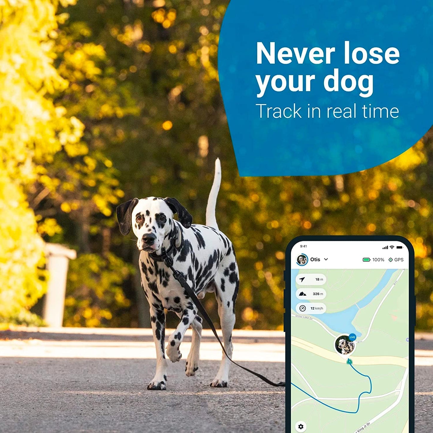 Tractive GPS Pet Tracker for Dogs Waterproof, GPS Location & Smart Activity Tracker