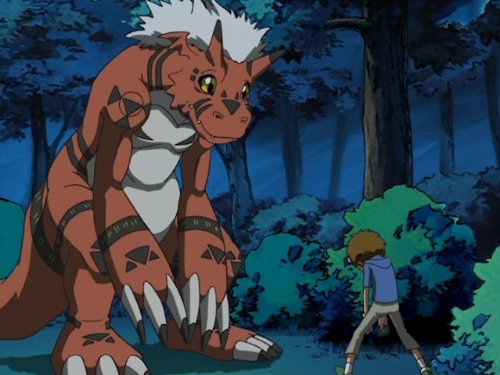 Digimon Digital Monster: The Complete Series Seasons 1-4 DVD (English only)