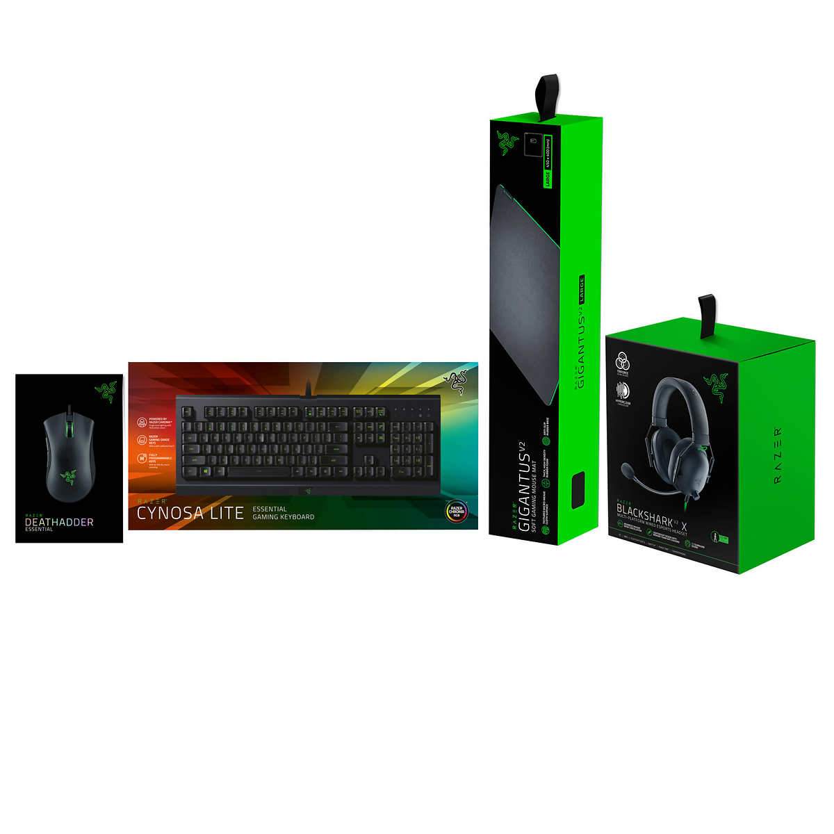 Razer Power Up Bundle V2