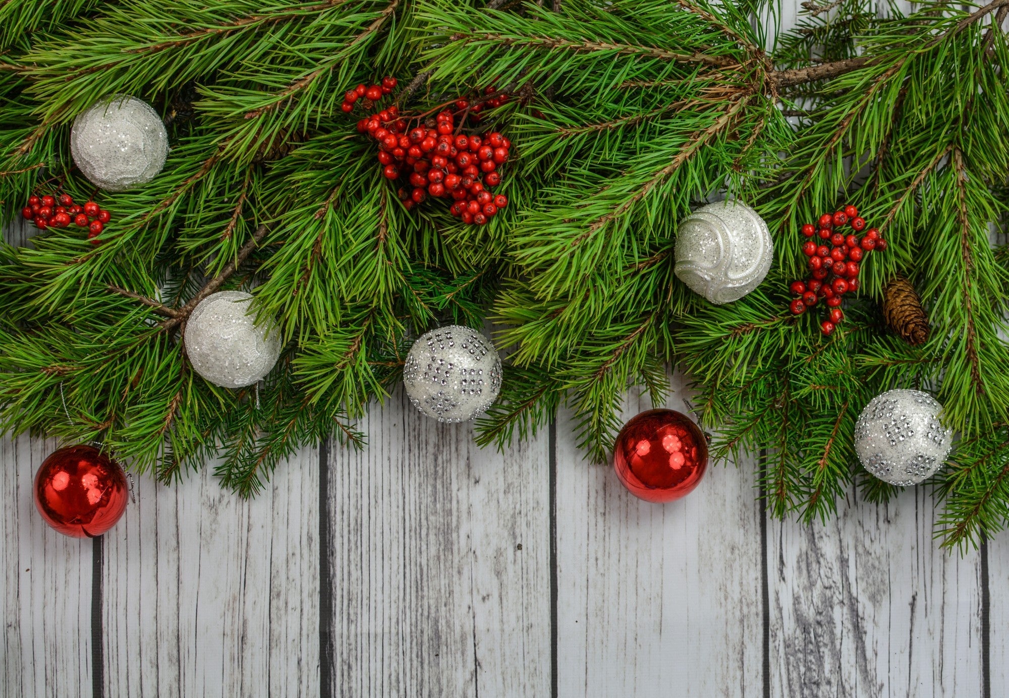 Holiday & Seasonal