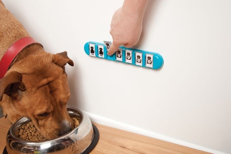 Pet Supplies