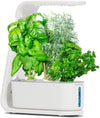 AeroGarden Sprout with Gourmet Herbs Seed Pod Kit - Hydroponic Indoor Garden, Black