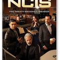 NCIS: Naval Criminal Investigative Service: The Twenty-Second Season