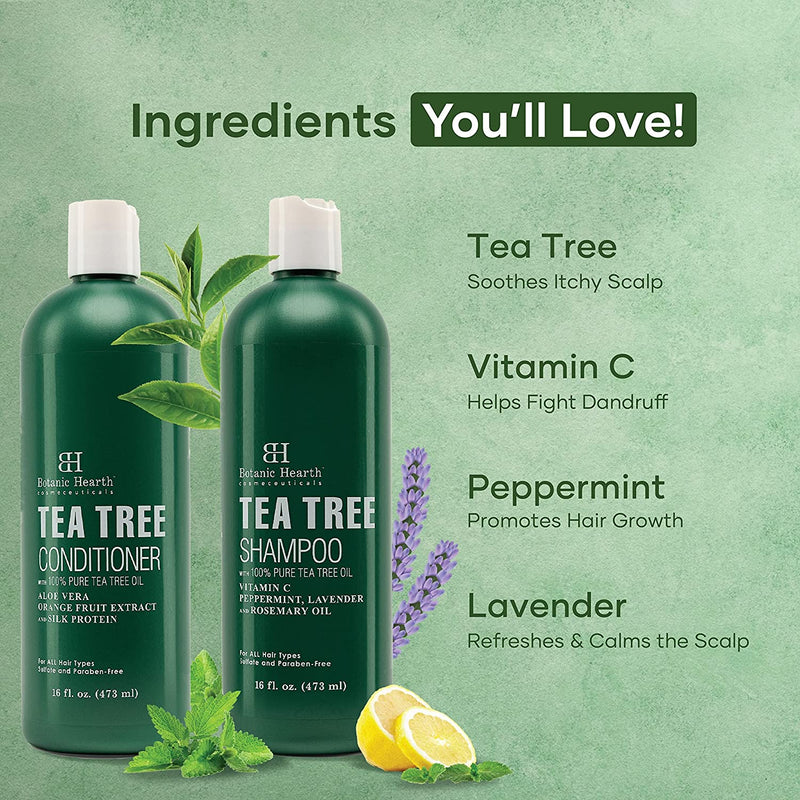 Botanic Hearth Tea Tree Shampoo and Conditioner Set - with 100% Pure Tea Tree Oil for Itchy and Dry Scalp Sulfate Free Paraben Free - for Men and Women - 2 bottles 16 fl oz each