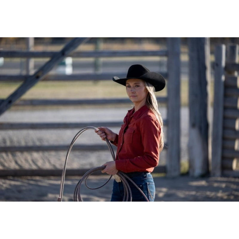 Heartland The Newest Season 17 DVD Box Set Region 1 USA, Canadian TV series, TV Drama