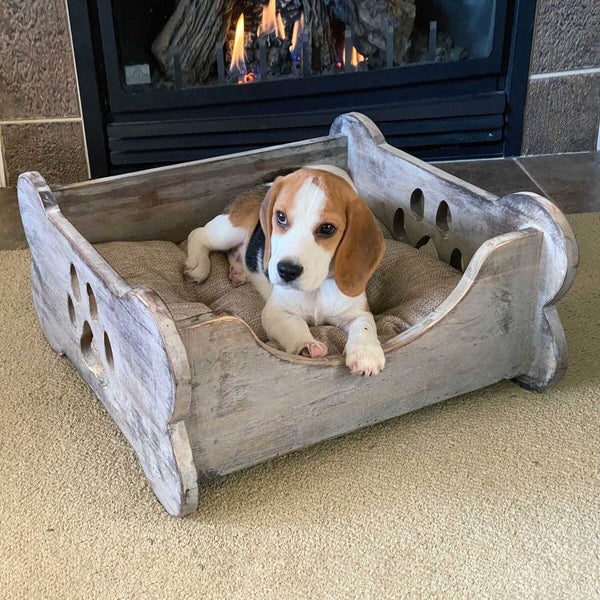 Bowser & Meowser Earth Friendly Recycled Wood Pet Bed, Bone Shape