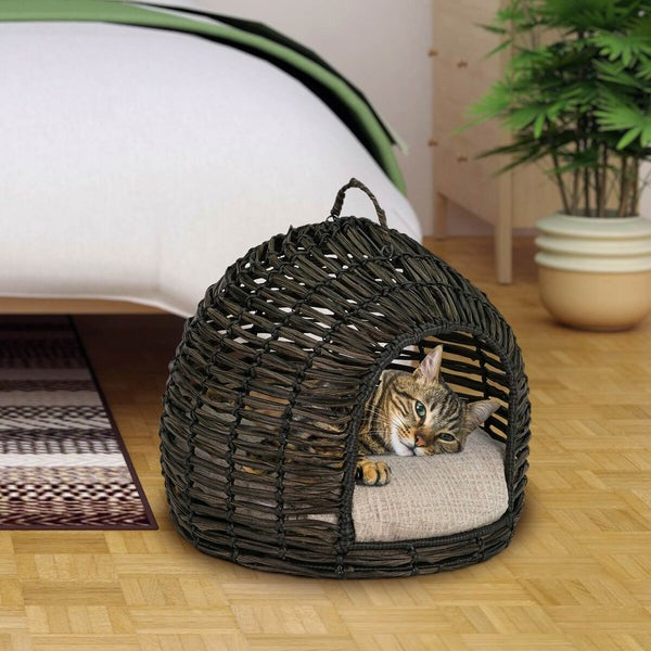 Bowser & Meowser Resin Wicker Hide Away Pet Bed with Handle