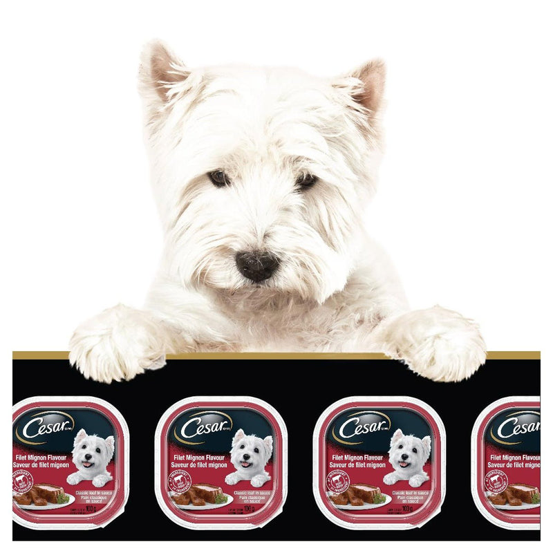 Cesar Classic Loaf in Sauce Soft Wet Dog Food Variety Pack- 36x100g Trays