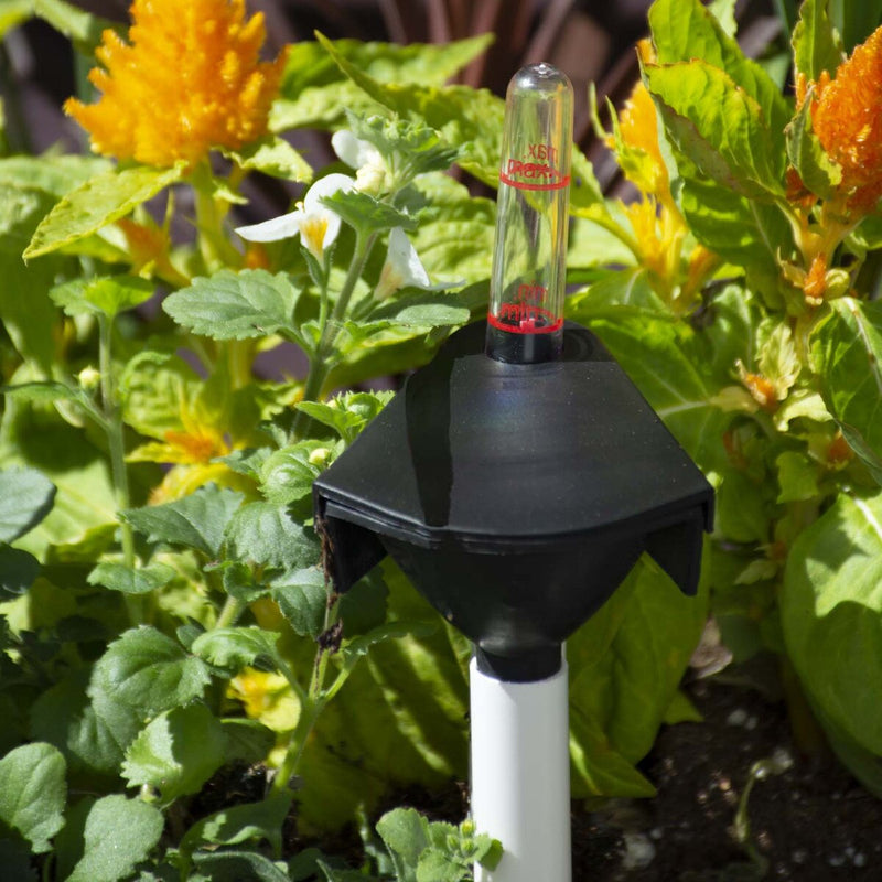 Grapevine Floor Planter With Self-Watering Feature, Square