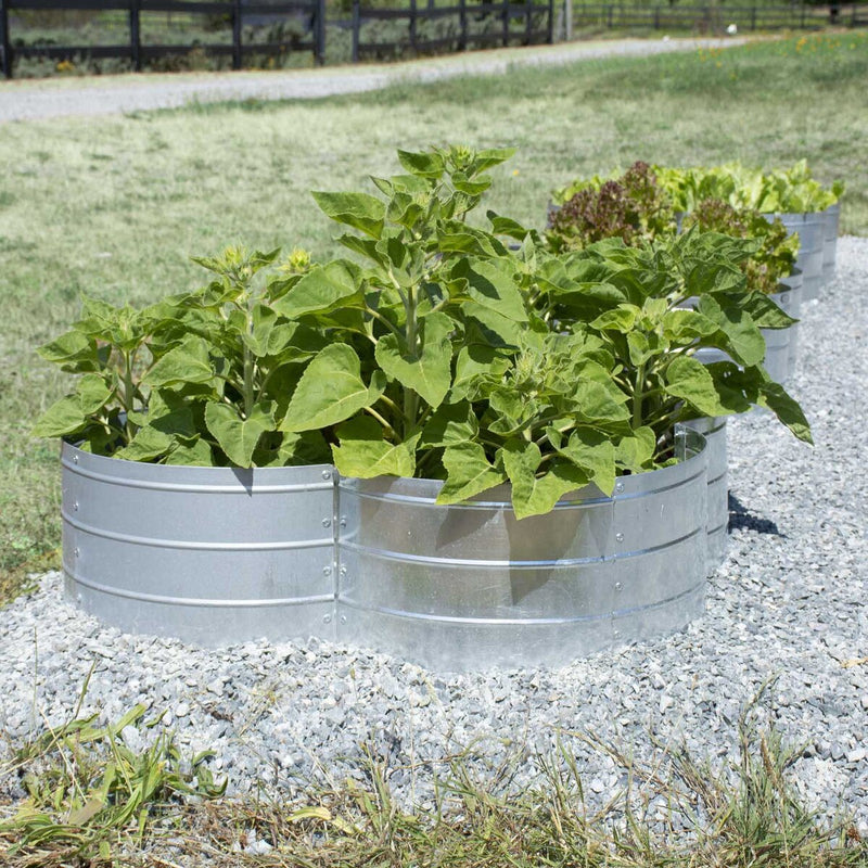 Grapevine Galvanized Steel Raised Garden Bed, 4 Leaf, Silver