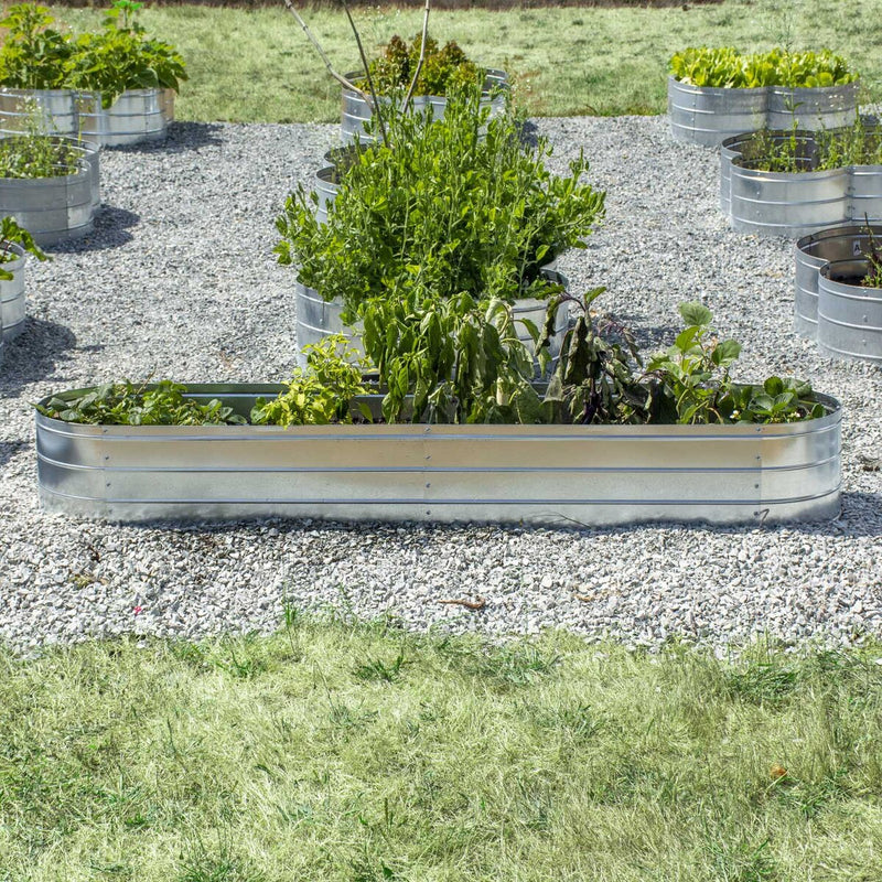 Grapevine Galvanized Steel Raised Garden Bed, Oval, 79IN, Silver