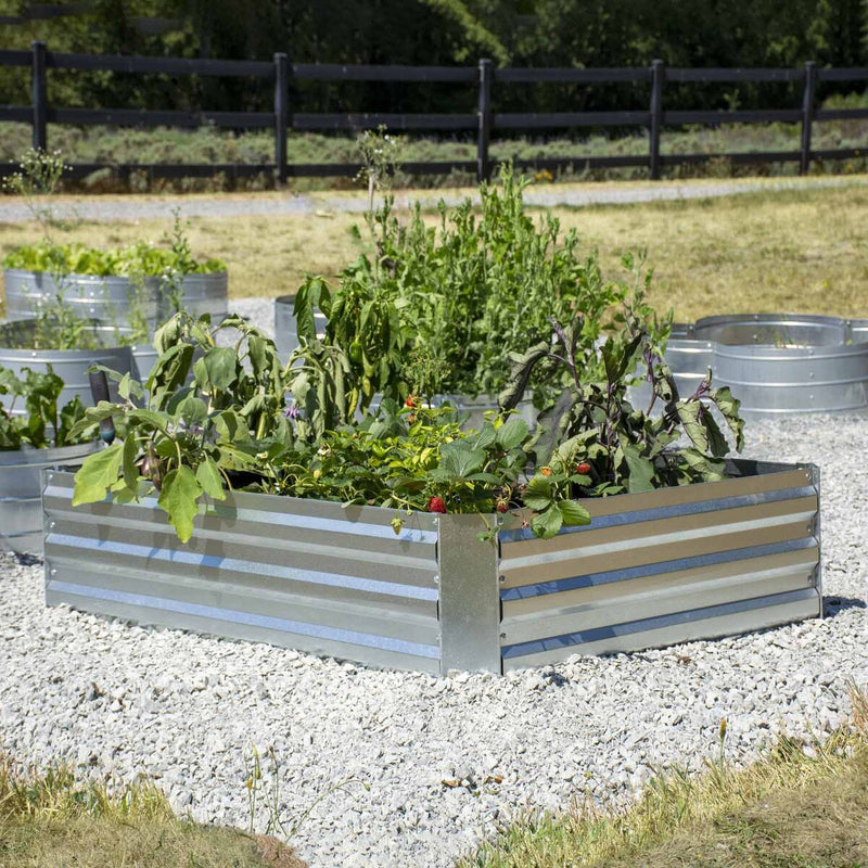 Grapevine Galvanized Steel Raised Garden Bed, Rectangular, Silver