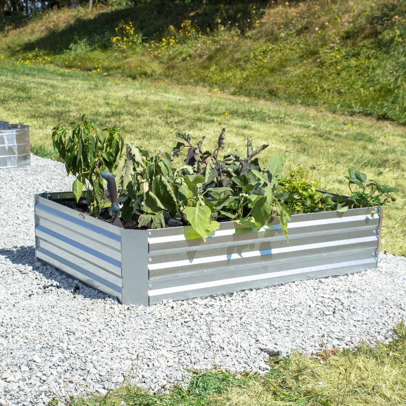 Grapevine Galvanized Steel Raised Garden Bed, Rectangular, Silver