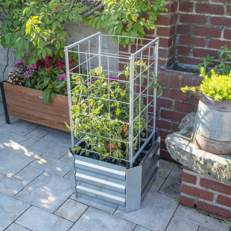 Grapevine Galvanized Steel Raised Garden Bed, Square, with Trellis, Silver