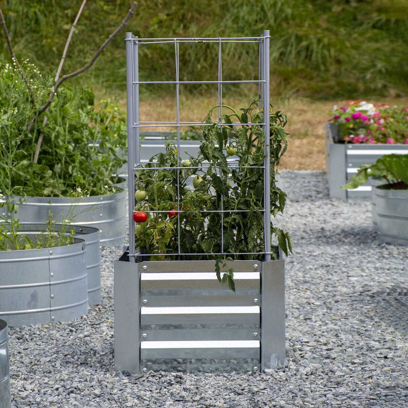 Grapevine Galvanized Steel Raised Garden Bed, Square, with Trellis, Silver