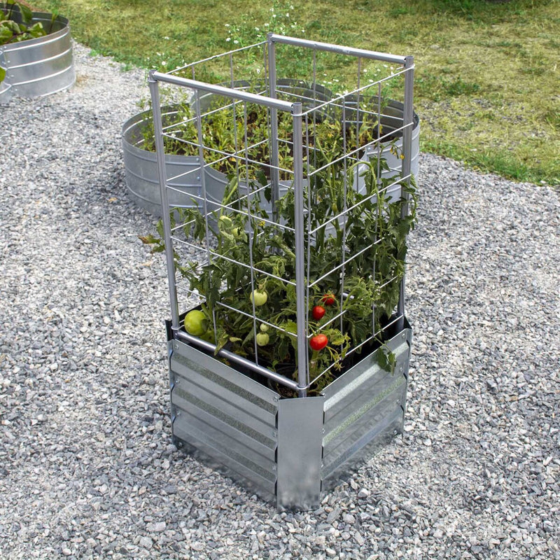 Grapevine Galvanized Steel Raised Garden Bed, Square, with Trellis, Silver