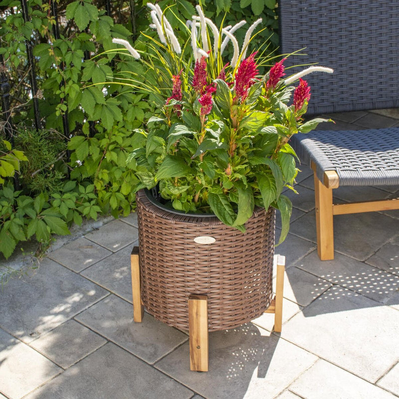 Grapevine Resin Wicker Planter with Stand