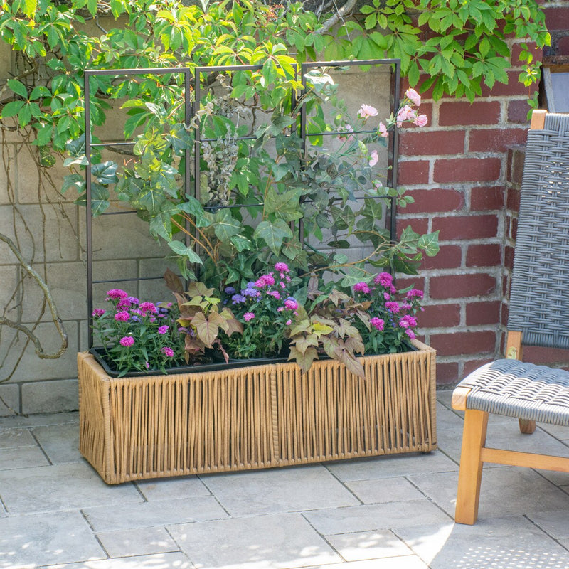 Grapevine Resin Wicker Planter with Trellis