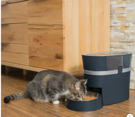 PetSafe Smart Feed Automatic Dog and Cat Pet Feeder