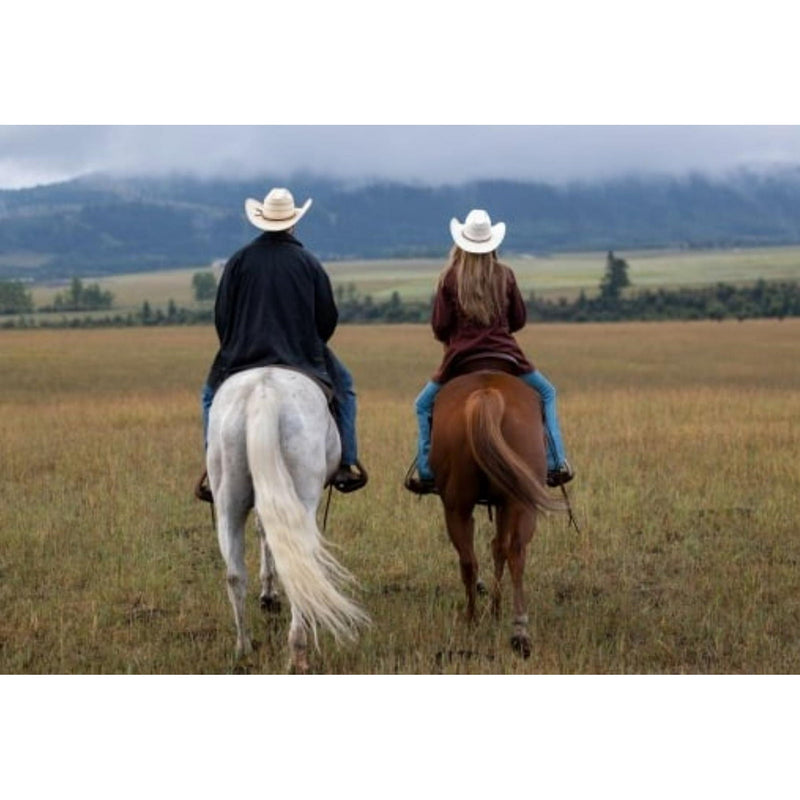 Heartland The Newest Season 17 DVD Box Set Region 1 USA, Canadian TV series, TV Drama