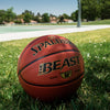 Wilson Spalding “The Beast” Basketball