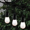 Danson 20 Frosted Edison LED String Lights