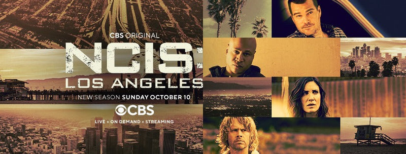 NCIS: Los Angeles: The Thirteenth Season (DVD)-English only