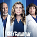 Grey's anatomy Season Eighteenth [DVD] -English only